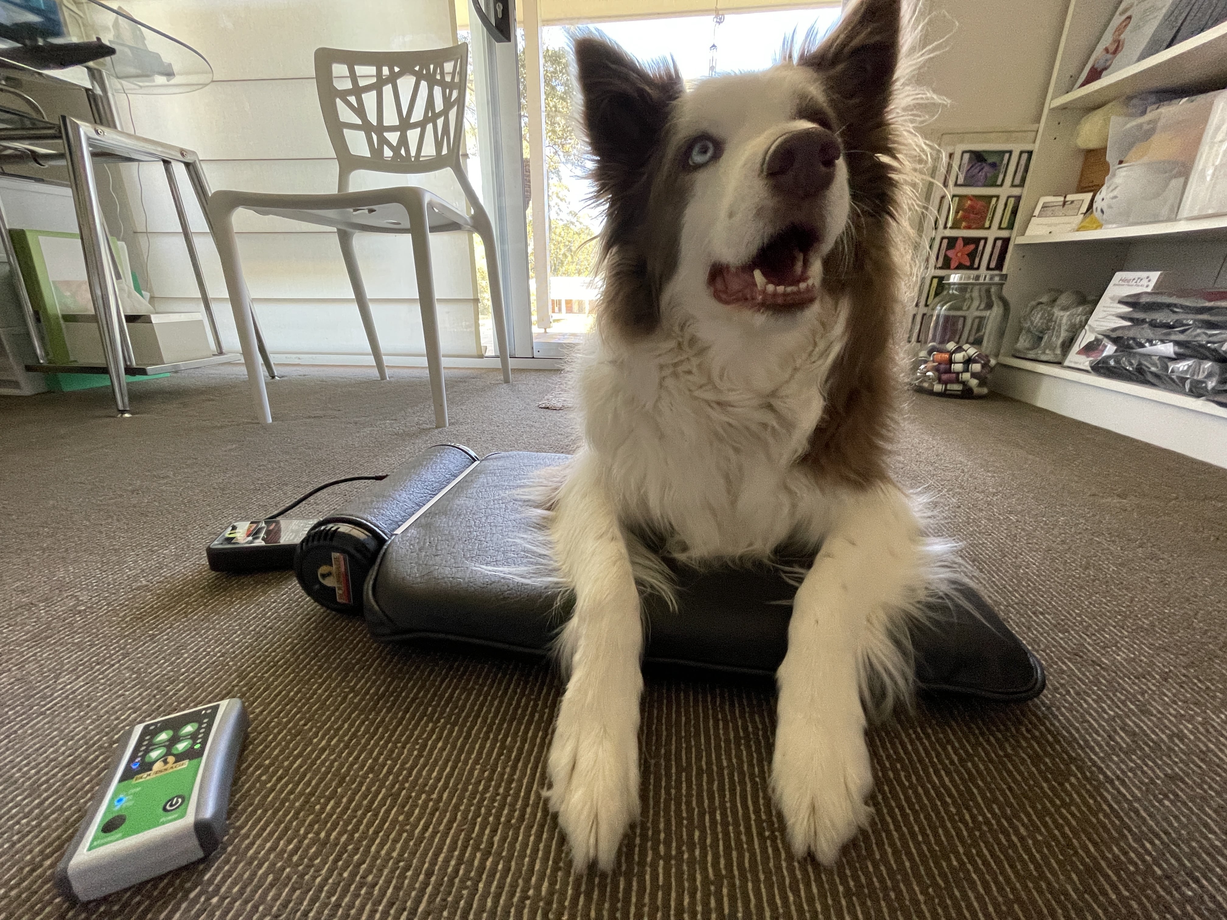 Cycloid vibration therapy supporting circulation and nervous system calming