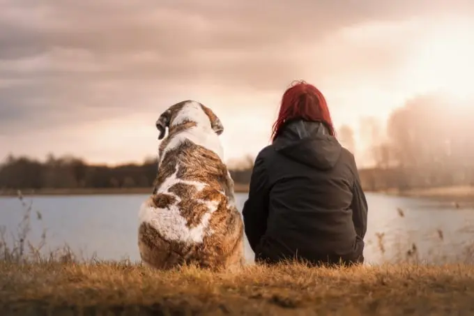 Canine Myofunctional Therapy